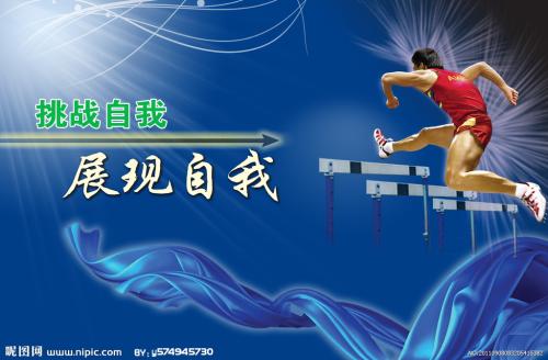 仿制假文莱护照